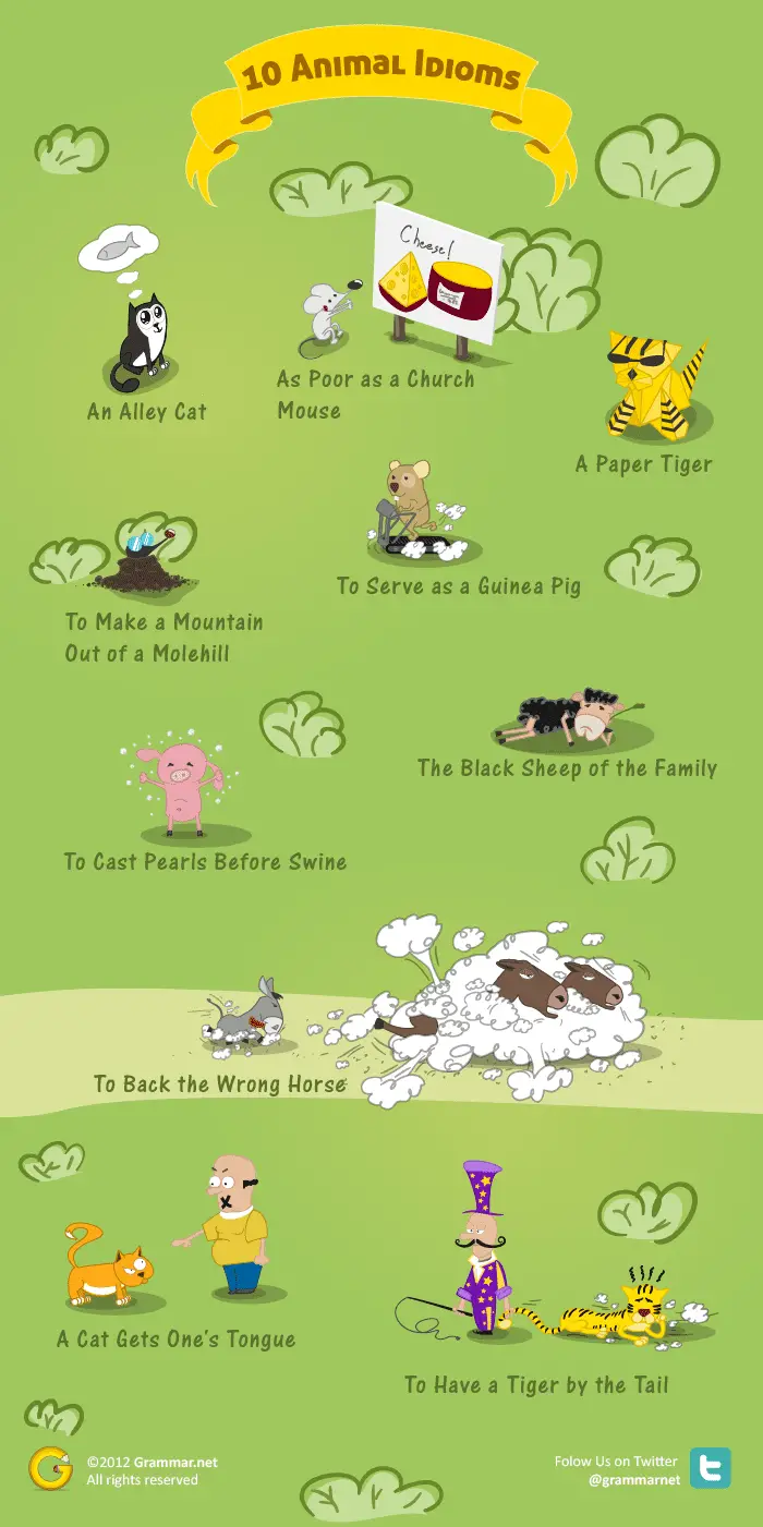 10 Animal Idioms with Explanations to Improve Your Vocabulary [Infographic]