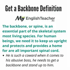 metil backbone definition