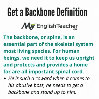 Get A Backbone Definition 420x420 