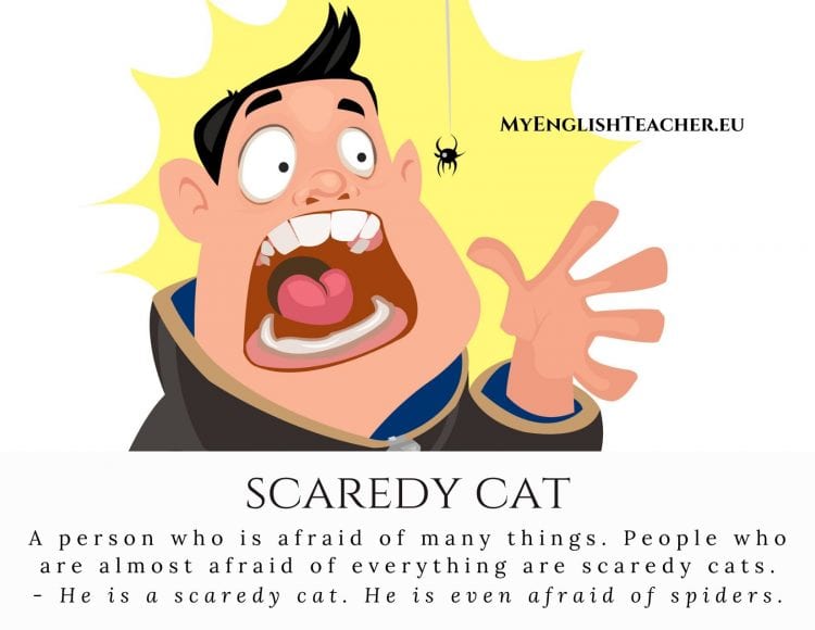 Scaredy Cat” Meaning: someone who is easily frightened Example