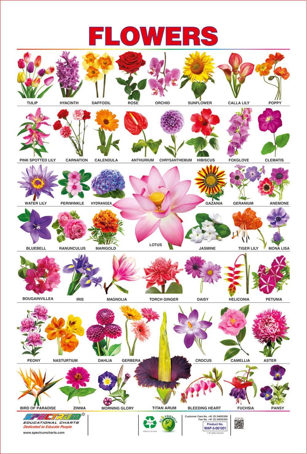 list of flower names - MyEnglishTeacher.eu Blog