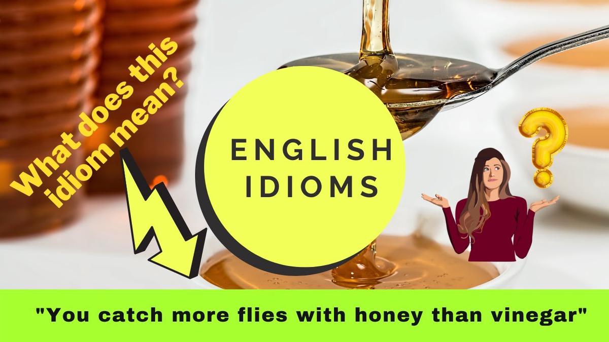'Video thumbnail for What does "you can catch more flies with honey" mean?  (Idioms in English, idioms explained)'